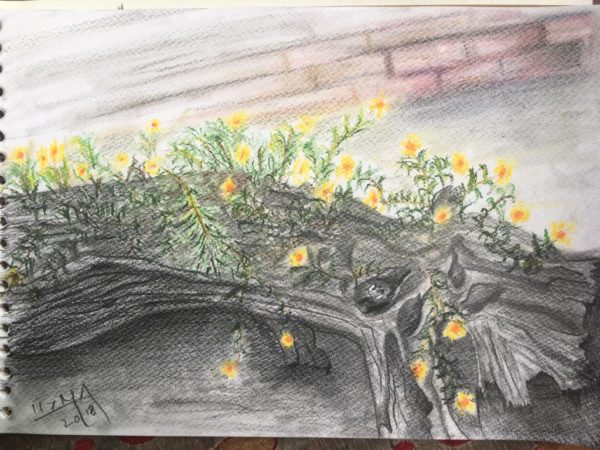 study of a tree trunk with flowers